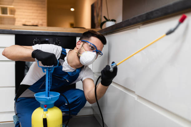 Best Termite Control Services  in Mcminnville, TN