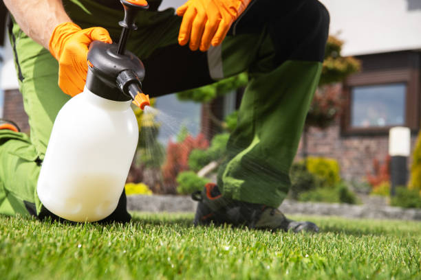 Best Affordable Pest Control Services  in Mcminnville, TN