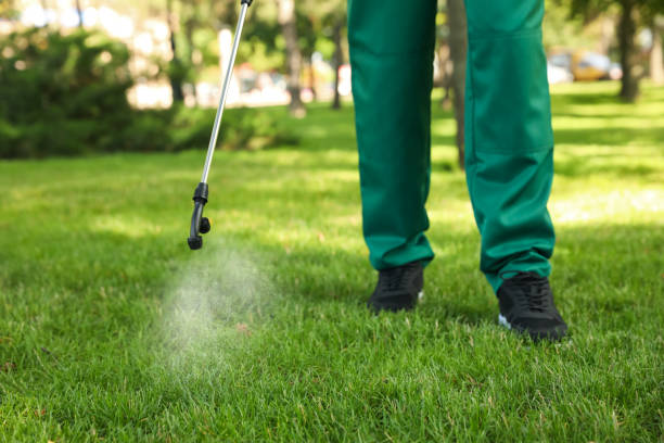 Best Pest Control Treatment  in Mcminnville, TN