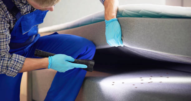 Best Affordable Pest Control Services  in Mcminnville, TN