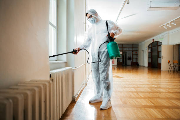 Best Insect Control  in Mcminnville, TN