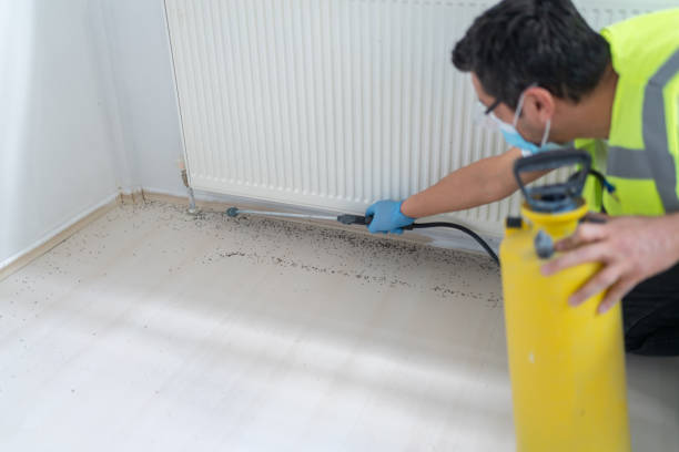 Reliable Mcminnville, TN Pest Control Solutions