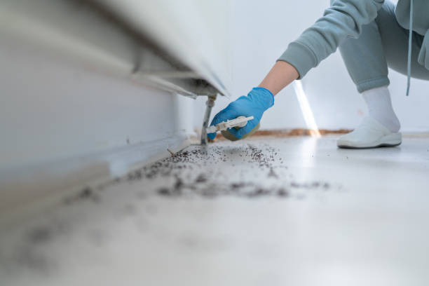 Best Flea Control Services  in Mcminnville, TN