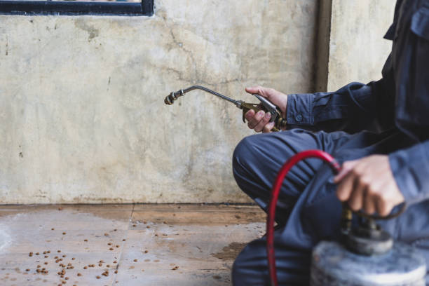 Best Pest Inspection Near Me  in Mcminnville, TN