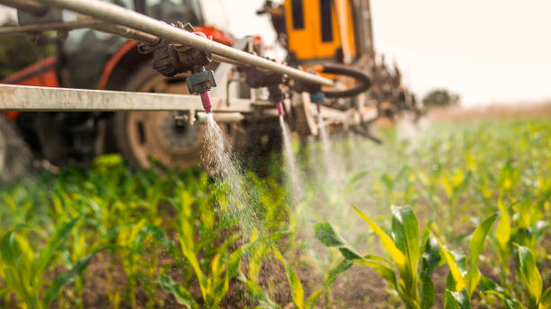 Best Pest Control for Homes  in Mcminnville, TN
